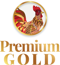 premium gold logo